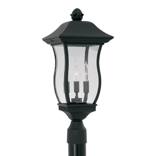 Post Light with Clear Glass in Black Finish