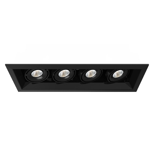 Eurofase Lighting Black & Black LED Recessed Kit by Eurofase Lighting TE164ALED-40-4-01
