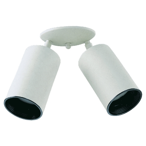 White Directional Spot Light by Quorum Lighting