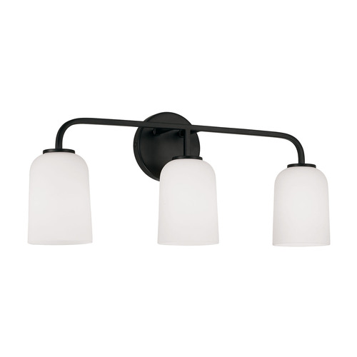 Lawson 23.50-Inch Bath Light in Black by HomePlace by Capital Lighting