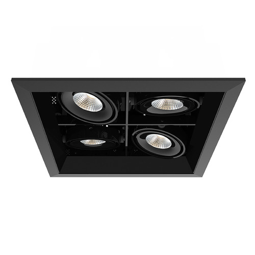 Eurofase Lighting Black & Black LED Recessed Kit by Eurofase Lighting TE164BLED-30-2-01