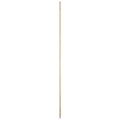 generic image alt