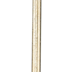Progress Lighting Accessory Stem Kit Gilded Silver Indoor Stem Segment