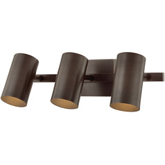 Troy Lighting Rueben Bronze LED Bathroom Light