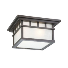 Outdoor Flushmount Ceiling Light