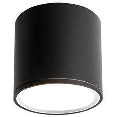 Afx Lighting Everly Black LED Close To Ceiling Light