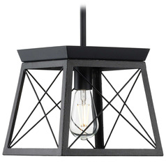 Progress Lighting Briarwood Textured Black & Rustic Ceruse Black Mini-Pendant Light