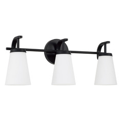 Homeplace By Capital Lighting Drake Matte Black Bathroom Light