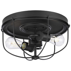 Progress Lighting Medal Graphite Flushmount Light