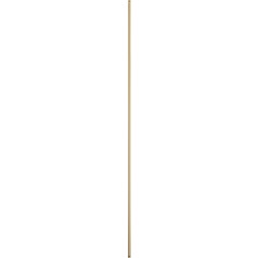 generic image alt