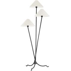 Troy Lighting Cedar Forged Iron LED Floor Lamp with Conical Shade