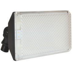Afx Lighting LED Flood Black LED Security Light