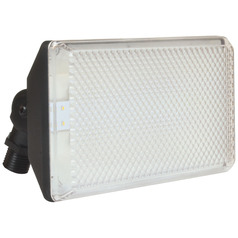 Afx Lighting LED Flood Black LED Security Light