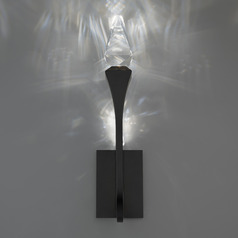 Schonbek Beyond Plumeria Black LED Outdoor Wall Light