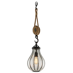 Troy Lighting Murphy Forged Iron & Rustic Wood Mini-Pendant Light with Teardrop Shade