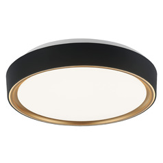 Matteo Lighting Alamus Black & Gold LED Flushmount Light