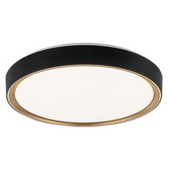 Matteo Lighting Alamus Black & Gold LED Flushmount Light