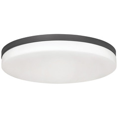 Afx Lighting Oscar Black LED Flushmount Light