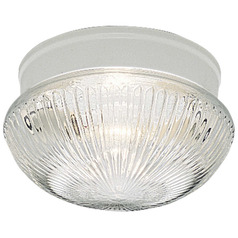 Progress Lighting Fitter White Flushmount Light