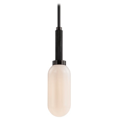Troy Lighting Annex Anodized Black Mini-Pendant Light with Oblong Shade