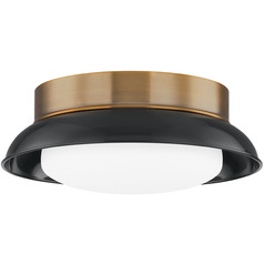 Troy Lighting Arnie Patina Brass & Black LED Flushmount Light