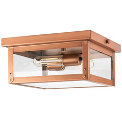 Progress Lighting Union 1-Light Gilded Iron Outdoor Hanging Lantern