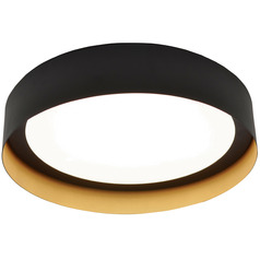 Afx Lighting Reveal Black & Gold LED Flushmount Light
