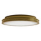 Currey and Company Lighting Currey and Company Aydan Natural / Polished Antique Brass LED Flushmount Light 9999-0083