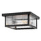 Hinkley Hinkley Torrent Black LED Close To Ceiling Light 10603BK