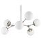 Progress Lighting Progress Lighting Adley 5-Light Brushed Nickel Chandelier P400308-009