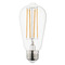 Maxim Lighting Maxim Lighting Bulbs LED Bulb BL4E26ST58CL120V22