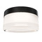 Modern Forms by WAC Lighting Modern Forms Tuck Ii Black LED Close To Ceiling Light FMW256605S-BK