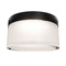 Modern Forms by WAC Lighting Modern Forms Tuck Iii Black LED Close To Ceiling Light FMW258605-BK