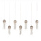 Currey and Company Lighting Currey and Company Medusa Nickel & Silver Multi-Light Pendant with Bowl / Dome Shade 9000-1071