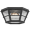 Troy Lighting Troy Lighting Mark D. Sikes Lake County French Iron Close To Ceiling Light C2514-FRN