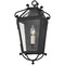 Troy Lighting Troy Lighting Mark D. Sikes Santa Barbara County French Iron Outdoor Wall Light B4121-FRN