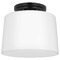 Progress Lighting Progress Lighting Adley Matte Black Flushmount Light P350260-31M