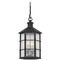 Troy Lighting Troy Lighting Mark D. Sikes Lake County French Iron Outdoor Hanging Light F2526-FRN