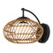 Currey and Company Lighting Currey and Company Carriage Natural / Black / Frosted White Outdoor Wall Light 5500-0060