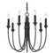 Troy Lighting Troy Lighting Cate Forged Iron Chandelier F1007-FOR
