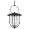 Troy Lighting Troy Lighting Mark D. Sikes Monterey County French Iron Outdoor Hanging Light F5731-FRN