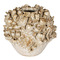 Currey and Company Lighting Currey and Company Tidala Milky White Vase 1200-1052