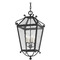 Troy Lighting Troy Lighting Mark D. Sikes Santa Barbara County French Iron Outdoor Hanging Light F4128-FRN