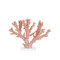 Currey and Company Lighting Fire Coral Sculpture by Currey & Company 1200-1083