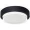 AFX Lighting Afx Lighting Elm Black LED Close To Ceiling Light ELMW09LAJUDBK