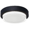 AFX Lighting Afx Lighting Elm Black LED Close To Ceiling Light ELMW11LAJUDBK