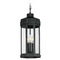 Maxim Lighting Maxim Lighting Wright Black Patina Outdoor Hanging Light 30229CLBKP