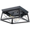Progress Lighting Progress Lighting Briarwood Textured Black & Rustic Ceruse Black Flushmount Light P350039-031