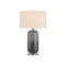 Currey and Company Lighting Lewes Table Lamp in Gray & Polished Nickel by Currey & Company 6000-1071
