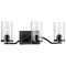 Progress Lighting Progress Lighting Lassiter Matte Black Bathroom Light P300258-031